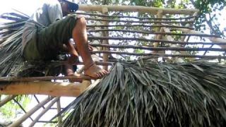 Thatching a roof with palm fronds